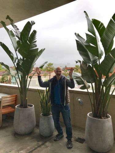 Michale Simon standing between two large potted plants.