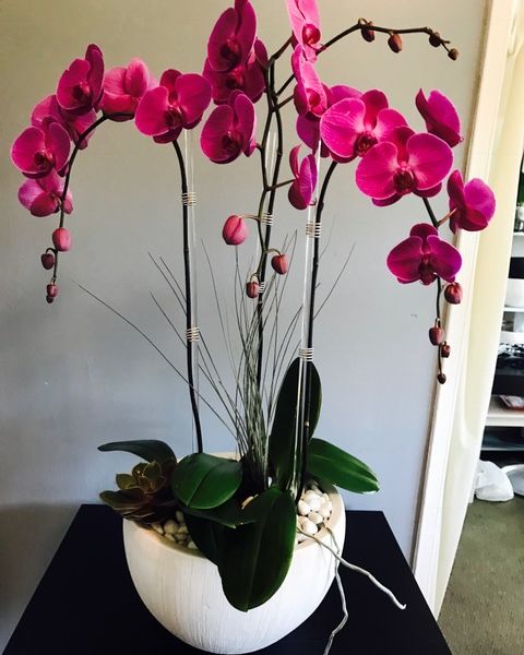 Two pink orchids in white vase with white pebbles, displayed on a small white table.
