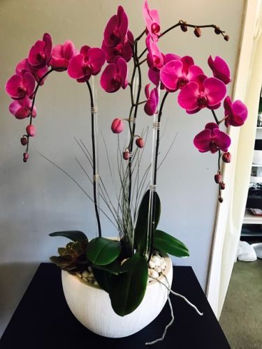 Two pink orchids in white vase with white pebbles, displayed on a small white table.