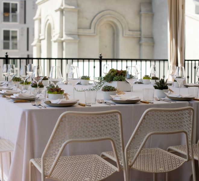 Small succulent arrangements used as decoration for elegant table setting.