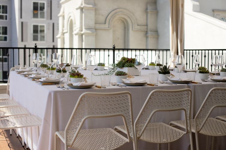 Small succulent arrangements used as decoration for elegant table setting.