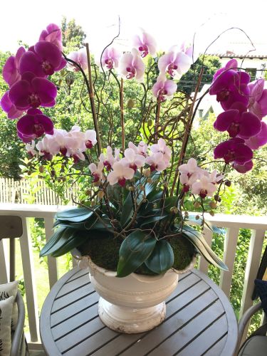 Beautifully arranged pink and white orchids in a white vase outside on a small table.