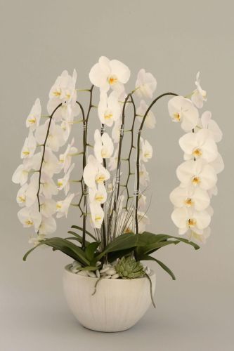 Multiple white orchids arranged with green succulents in a small white vase with white pebbles.