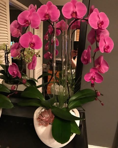 Pink orchids in a white vase with a pink succulent, displayed indoors on a dresser.