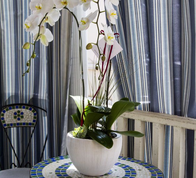 White orchid arrangement displayed on a small mosaic table.
