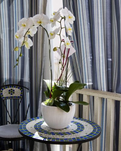 White orchid arrangement displayed on a small mosaic table.